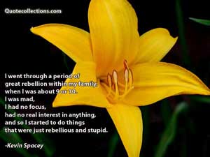 Kevin Spacey Quotes 3